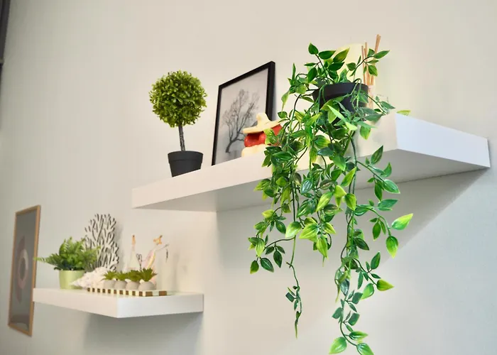 Sp Central Loft